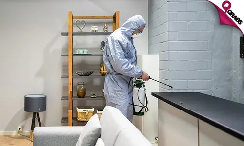 Pest Control Treatment Service!
